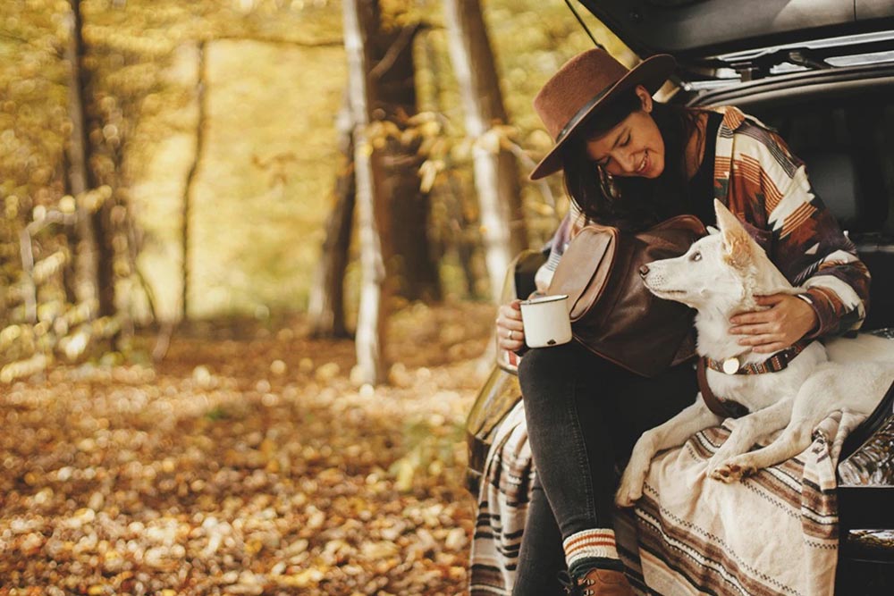 Fall Car Care: Essential Maintenance Tips to Prepare Your Vehicle for Cooler Weather